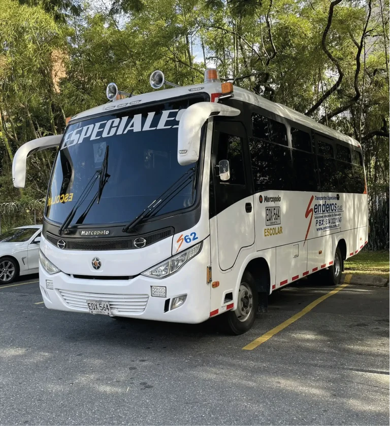 servicio turistico
