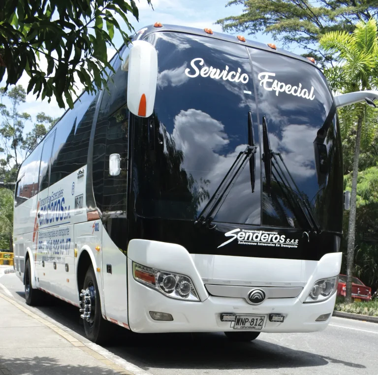 servicio turistico1
